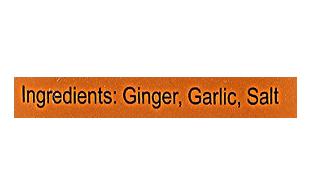 Snapin Ginger Garlic Mix    Bottle  50 grams
